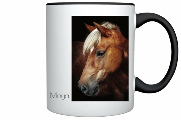 Färgad mugg Moya